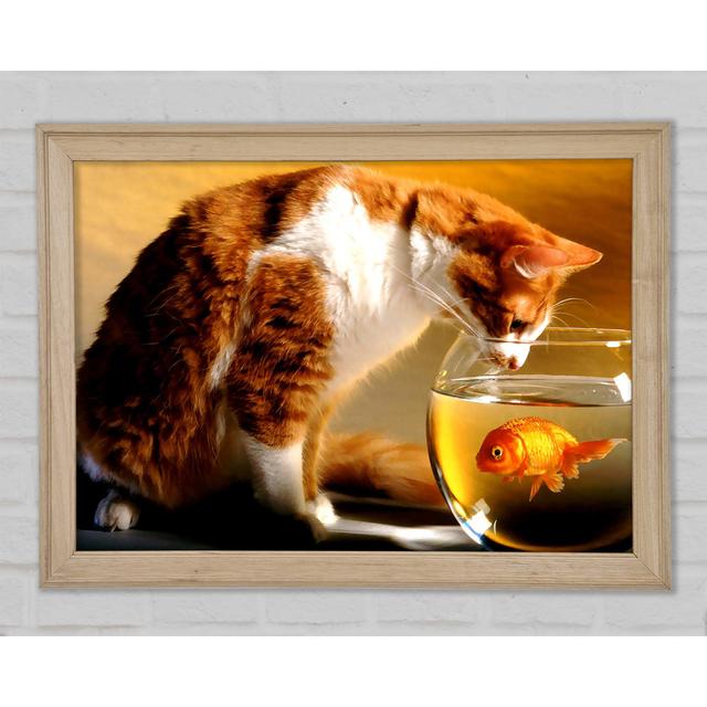 Cat And Fish - Single Picture Frame Art Prints Brayden Studio Size: 42cm H x 59.7cm W x 1.5cm D on Productcaster.