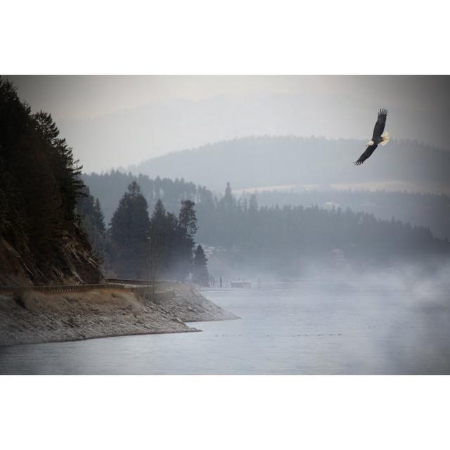 Eagle Flying Over Lake - Wrapped Canvas Art Prints Alpen Home Size: 30cm H x 46cm W x 3.8cm D on Productcaster.