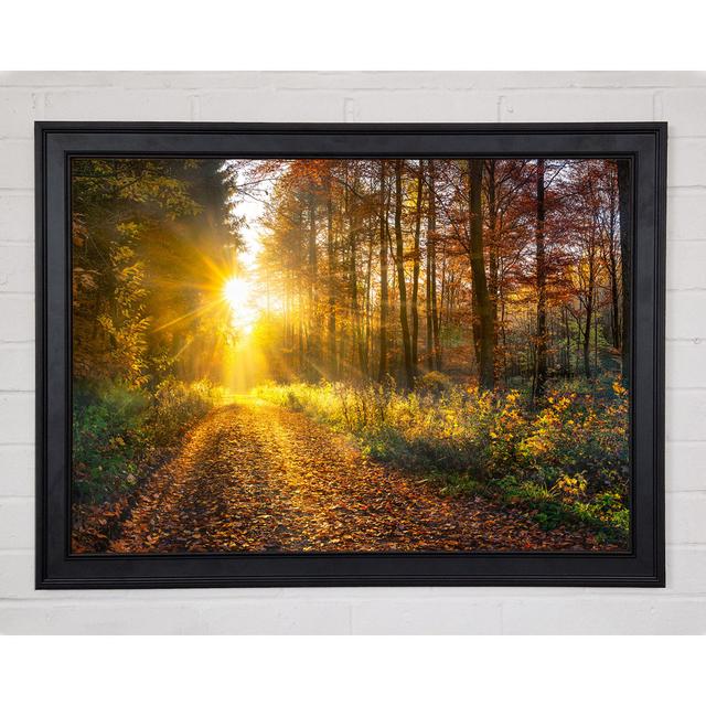 Woodland Walk In The Autumn - Print Union Rustic Format: Black Framed Paper, Size: 84.1cm H x 118.9cm W x 1.5cm D on Productcaster.