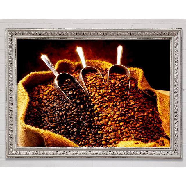 Kaffeebohne Wahl Gerahmter Druck Bright Star Größe: 59,7 cm H x 84,1 cm B x 3 cm T, Format: Black Framed Wood on Productcaster.