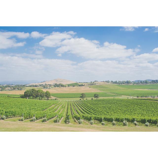 Australian Vineyards by Martinamanelli - Wrapped Canvas Print 17 Stories Size: 81cm H x 122cm W on Productcaster.