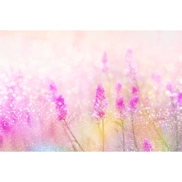 Grass Flower Field in Spring Background with Sunlight Soft Romance - Wrapped Canvas Photograph Ebern Designs Size: 20cm H x 30cm W x 3.8cm D on Productcaster.