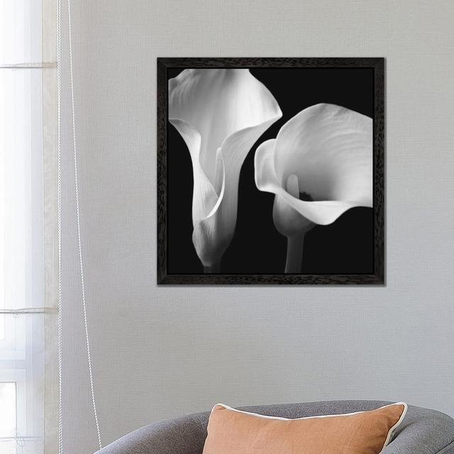 'Softness II' by Assaf Frank - Floater Frame Photograph Print on Canvas Ebern Designs Frame Option: Black Framed, Size: 45.72cm H x 45.72cm W x 3.81cm on Productcaster.