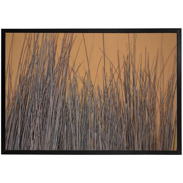 Atzhiri Broom Stick On The Wall - Single Picture Frame Print Latitude Run Frame Option: Black Framed, Size: 31cm H x 41cm W x 4cm D on Productcaster.