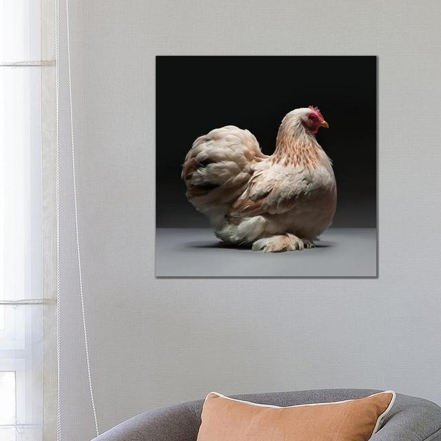 Cochin Bantam by CHICken - Wrapped Canvas Print Brambly Cottage Size: 66.04cm H x 66.04cm W x 3.81cm D on Productcaster.