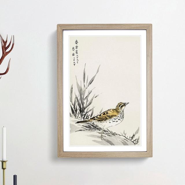 Chinese Tree-Pipit by Numata Kashu - Picture Frame Painting Print East Urban Home Frame Option: Oak Framed, Size: 65cm H x 48cm W x 2cm D on Productcaster.