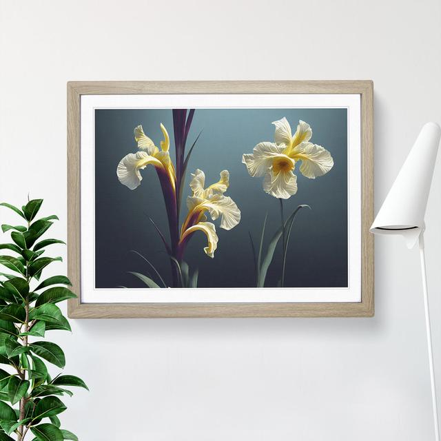 Thrilling Iris Flowers - Single Picture Frame Print 17 Stories Size: 25cm H x 34cm W x 2cm D, Frame Colour: Oak Framed on Productcaster.