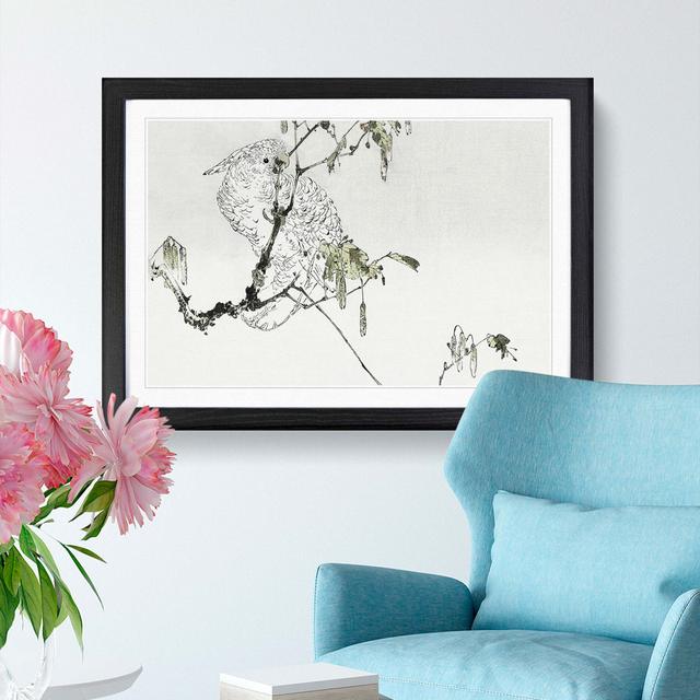 White Cockatoo by Watanabe Seitei - Picture Frame Graphic Art Print East Urban Home Frame Option: Black, Size: 35cm H x 50cm W x 2cm D on Productcaster.