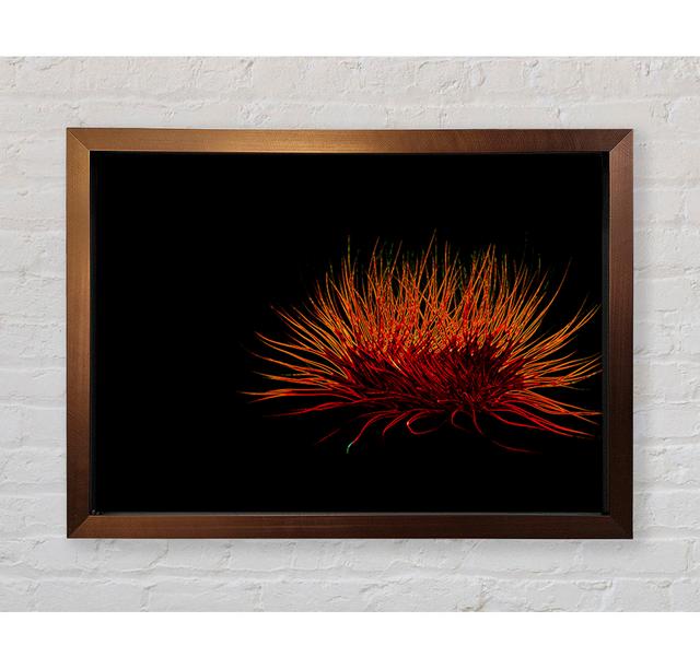 Red Thing - Single Picture Frame Art Prints Bright Star Size: 84.1cm H x 118.9cm W on Productcaster.