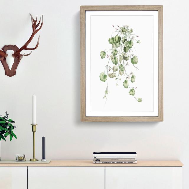 Kenilworth Ivy Flowers by Pierre-Joseph Redoute - Picture Frame Graphic Art Print East Urban Home Size: 48cm H x 36cm W x 2cm D, Frame Option: Oak Fra on Productcaster.