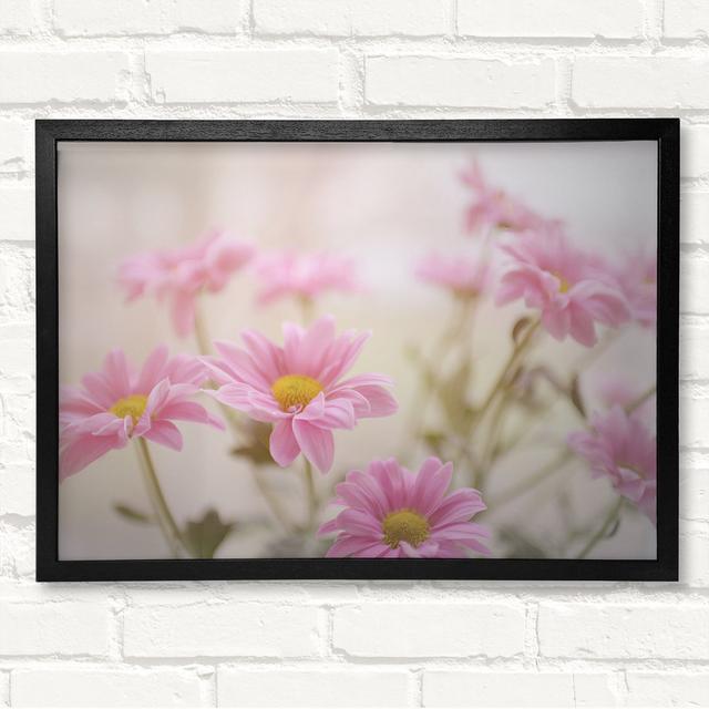 Pink Flowers In Soft Light - Closed Corner Frame Art Prints on Wood Latitude Run Size: 59.7cm H x 84.1cm W on Productcaster.