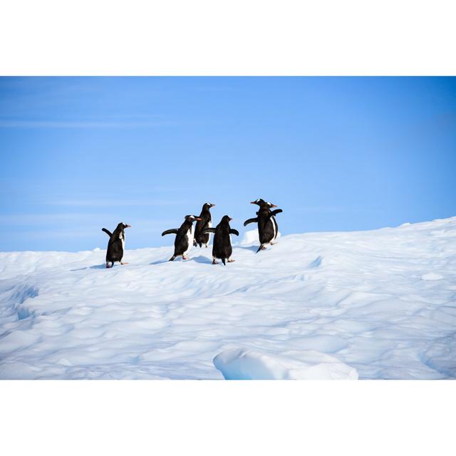 Penguins on Iceberg House of Hampton Size: 61cm H x 91cm W on Productcaster.