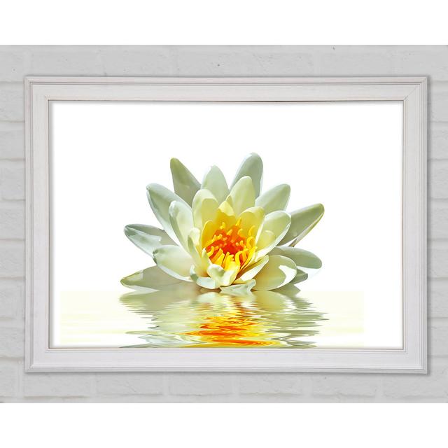 White Water Lily Reflection Petals - Single Picture Frame Art Prints Brayden Studio Size: 29.7cm H x 42cm W x 1.5cm D, Format: White Framed Paper on Productcaster.