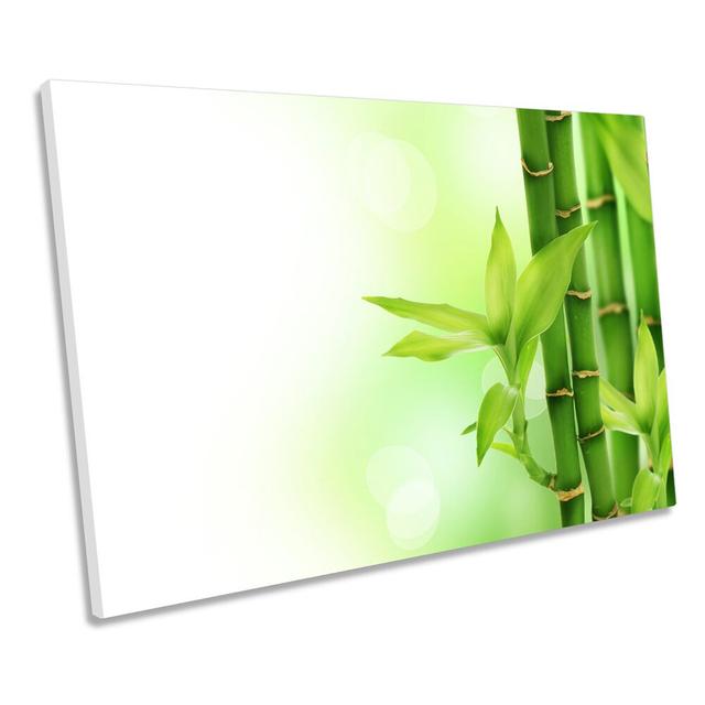 Bamboo Floral Green - Wrapped Canvas Graphic Art Bay Isle Home Size: 30.5cm H x 45.7cm W on Productcaster.