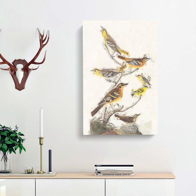 A Collection of Birds by John James Audubon - Wrapped Canvas Painting Print East Urban Home Size: 50cm H x 35cm W x 3cm D on Productcaster.