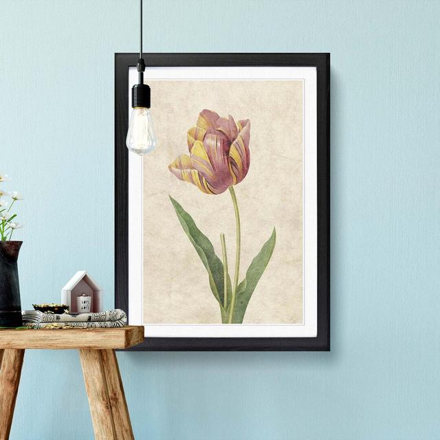 Pink Tulip by Pierre-Joseph Redoute - Picture Frame Painting Print East Urban Home Size: 65cm H x 48cm W x 2cm D, Frame Option: Black Framed on Productcaster.