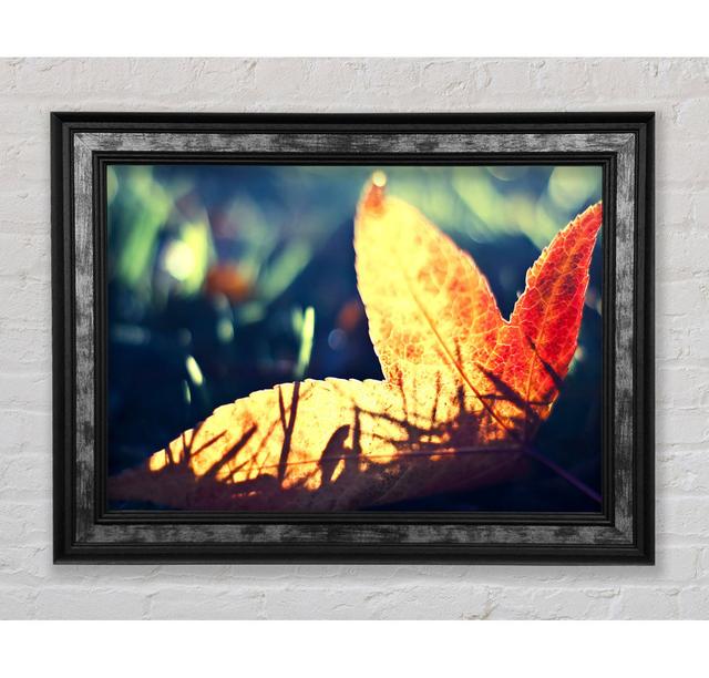 Fallen Leaf - Single Picture Frame Art Prints Bright Star Size: 84.1cm H x 142.2cm W x 8cm D on Productcaster.