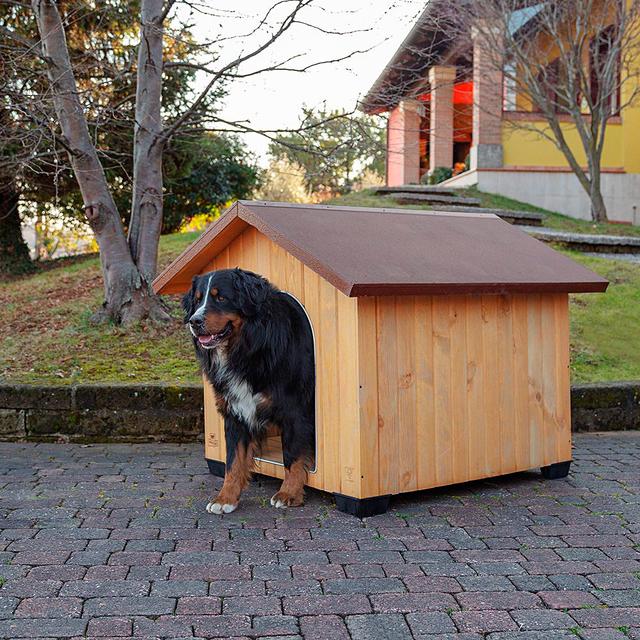 Hundehütte Ferplast Größe: 103 cm H x 130 cm B x 110 cm T on Productcaster.