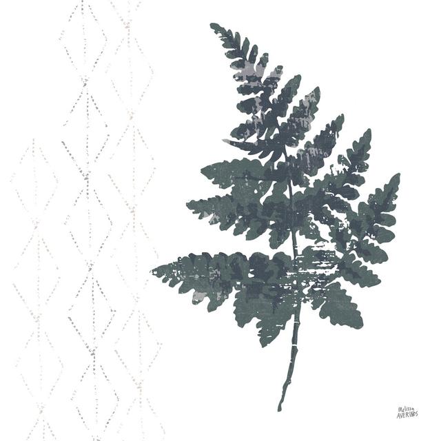 Leinwandbild Nordic Fern II von Melissa Averinos Sansibar Home Größe: 91 cm H x 91 cm B on Productcaster.