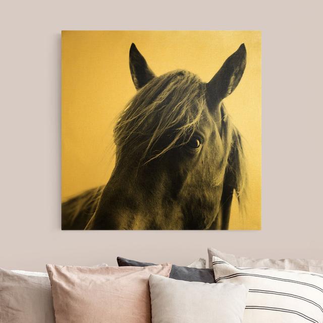 Curious Horse - Wrapped Canvas Art Prints August Grove Size: 80cm H x 80cm W, Format: 435g/m³ Canvas Gold, Colour: Gold on Productcaster.