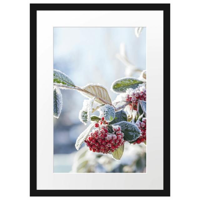 Gerahmtes Poster Vogelbeeren im Winter East Urban Home Größe: 55 cm H x 40 cm B on Productcaster.