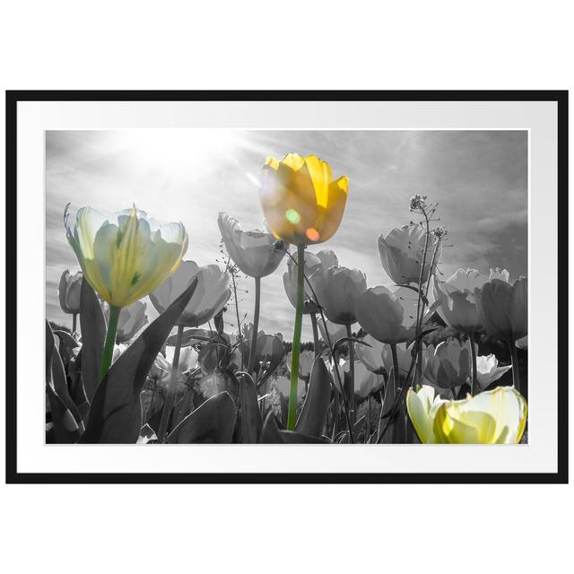 Gerahmtes Poster Wunderschöne Tulpenwiese East Urban Home Größe: 70 cm H x 100 cm B on Productcaster.