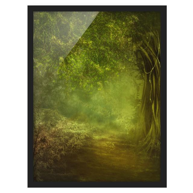 Forest Walk - Picture Frame Graphic Art Union Rustic Frame Option: Black Framed, Size: 100cm H x 70cm W x 2cm D on Productcaster.