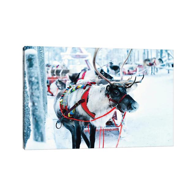 Decorated Reindeer by Karen Mandau - Wrapped Canvas Print Alpen Home Size: 20.32cm H x 30.48cm W x 1.905cm D on Productcaster.