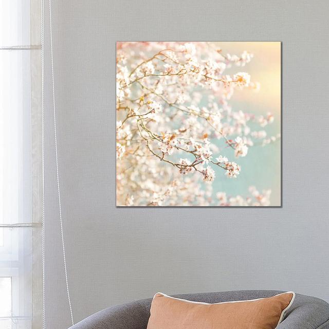 Sunlit Blossom by Ros Berryman - Wrapped Canvas Photograph ClassicLiving Size: 66.04cm H x 66.04cm W x 3.81cm D on Productcaster.