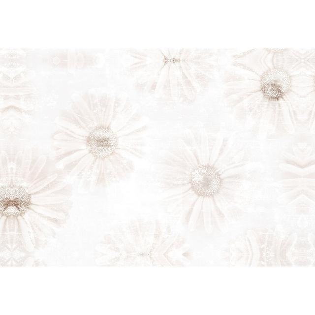 Creamy Toned Daisies - Wrapped Canvas Painting Print August Grove Size: 30cm H x 46cm W x 3.8cm D on Productcaster.