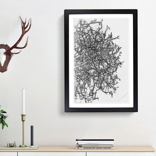 Bare Tree in Abstract - Picture Frame Graphic Art Print East Urban Home Size: 48cm H x 36cm W x 2cm D, Frame Option: Black Framed on Productcaster.