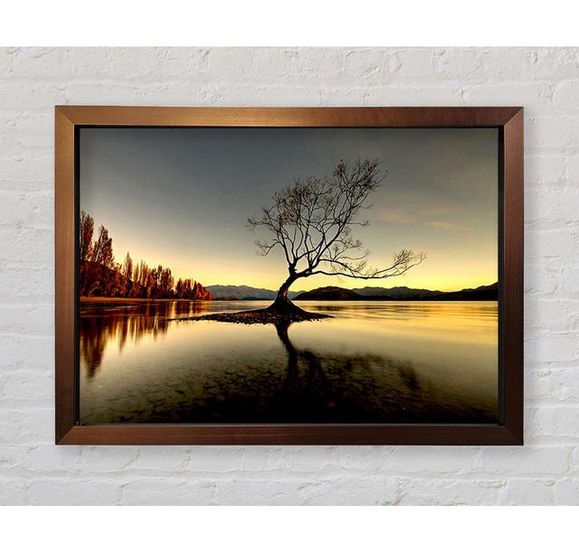 Lonely Lake Tree Framed Print Highland Dunes Size: 100cm H x 141.4cm W on Productcaster.