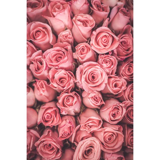 Rine Full Frame Of Roses - Wrapped Canvas Photograph Latitude Vive Size: 122cm H x 81cm W x 3.8cm D on Productcaster.