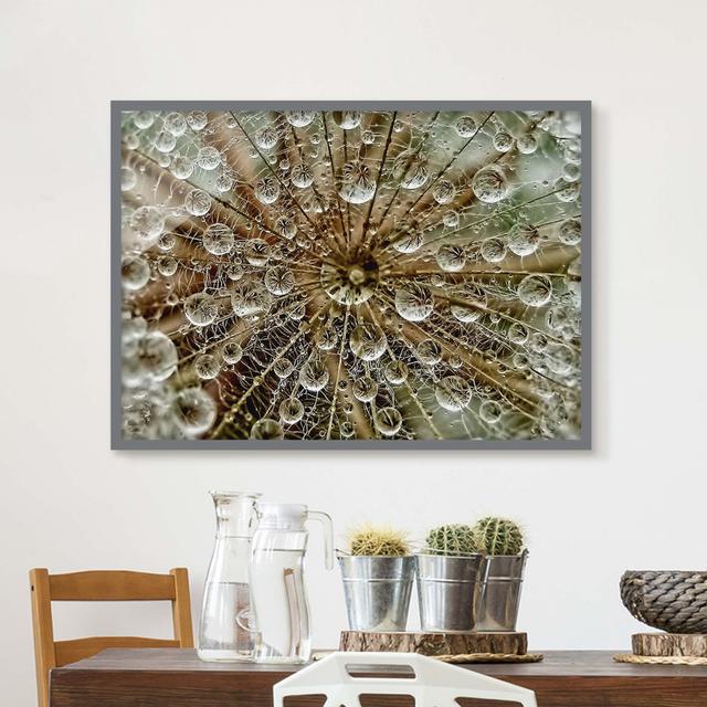 Dandelion in Autumn - Picture Frame Photograph Rosalind Wheeler Frame Option: Grey Framed, Size: 40cm H x 55cm W x 2cm D on Productcaster.