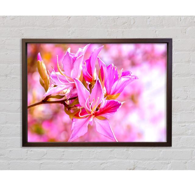 Stunning Deep Flowers - Single Picture Frame Art Prints on Canvas Bright Star Size: 84.1cm H x 118.9cm W x 3.3cm D on Productcaster.