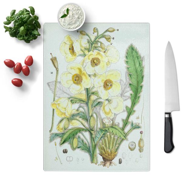 Glass Himalayan Yellow Poppy by W. H. Fitch Chopping Board East Urban Home Size: 39 cm W x 28.5 cm L on Productcaster.