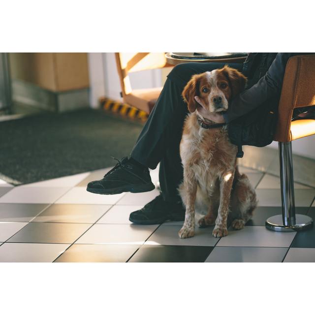 Dog At The Veterinary Clinic by Erika Parfenova - No Frame Art Prints on Canvas 17 Stories Size: 30cm H x 46cm W on Productcaster.