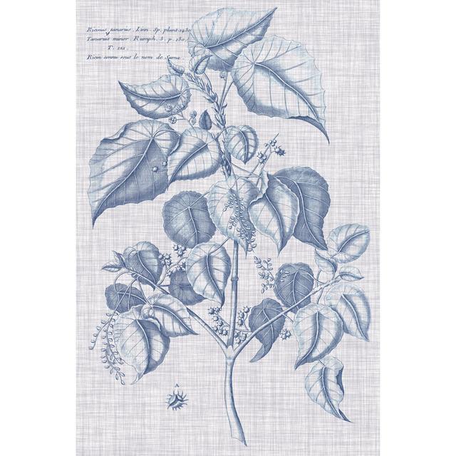 Navy & Linen Botanical VI by Vision Studio - Wrapped Canvas Print August Grove Size: 46cm H x 30cm W x 3.8cm D on Productcaster.