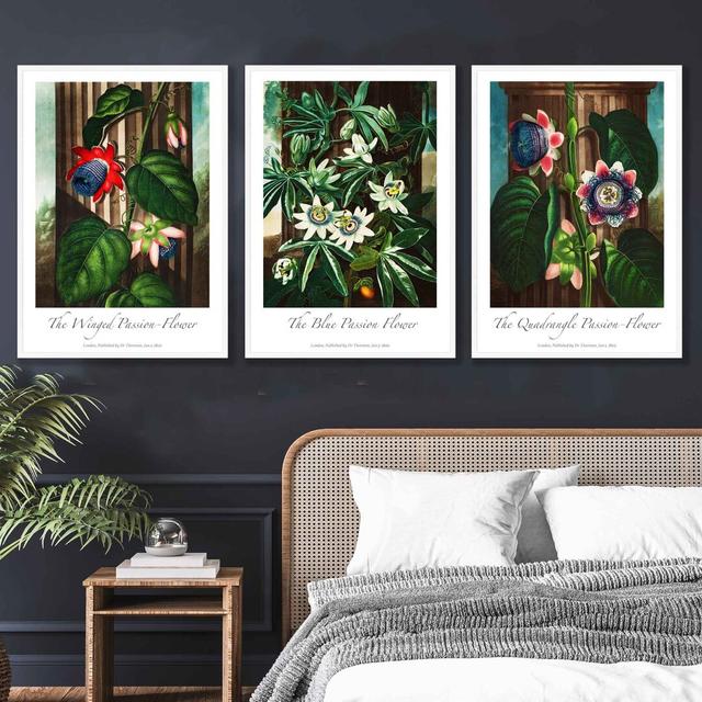 3 Piece Vintage Passion Flowers Floral Set Of Wall Art Prints Happy Larry Size: 50cm H x 120cm W x 0.1cm D on Productcaster.