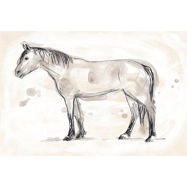 Vintage Equine Sketch I Ivy Bronx Size: 20cm H x 30cm W x 3.8cm D on Productcaster.