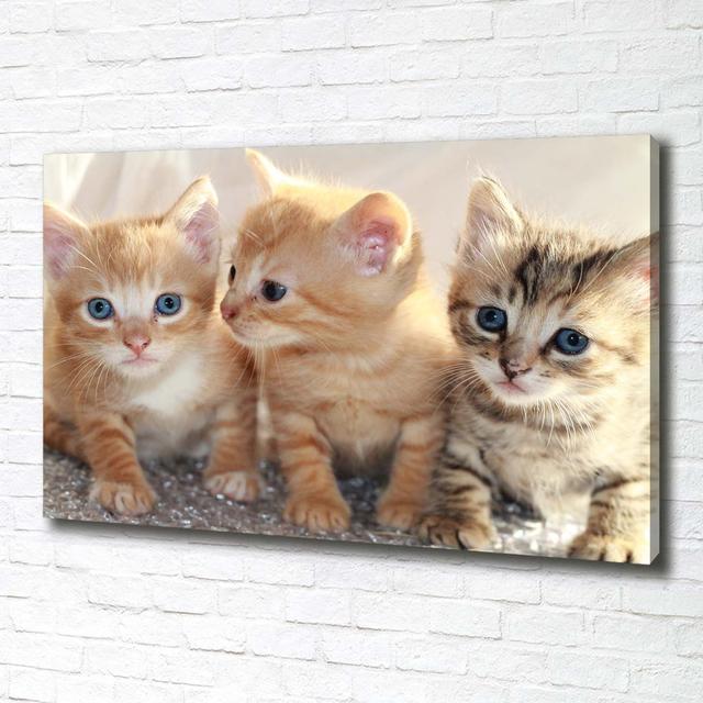 Small Cats - Wrapped Canvas Art Prints Brayden Studio on Productcaster.