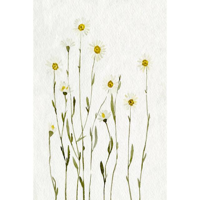 White Antique Daisies I - Wrapped Canvas Painting Rosalind Wheeler Size: 122cm H x 81cm W on Productcaster.