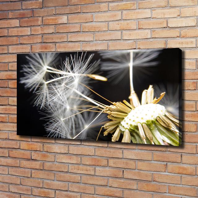 Dandelion Seeds - Wrapped Canvas Art Prints Brayden Studio on Productcaster.