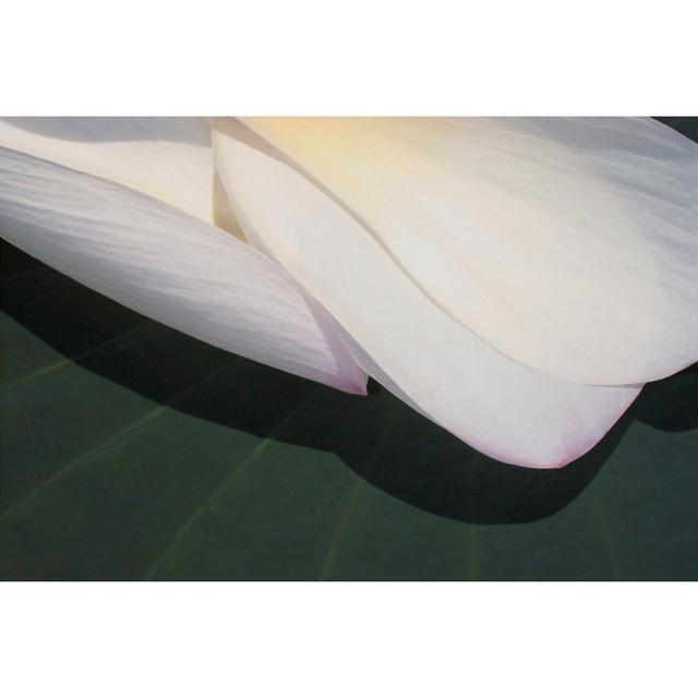 Lotus Detail II - Wrapped Canvas Print Ebern Designs Size: 61cm H x 91cm W on Productcaster.