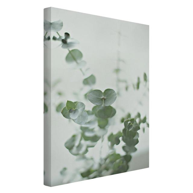 Growing Eucalyptus Branches - Wrapped Canvas Graphic Art Ebern Designs Size: 60cm H x 40cm W on Productcaster.