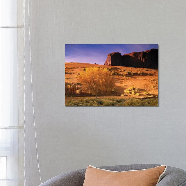 Cottonwood Tree and Coyote Bush with Sand Dunes, Monument Valley, Arizona by Tim Fitzharris - Wrapped Canvas Art Prints Union Rustic Size: 45.72cm H x on Productcaster.