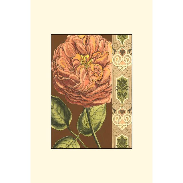 Small Nouveau Floral IV by Vision Studio - Wrapped Canvas Art Prints Marlow Home Co. Size: 76cm H x 51cm W x 3.8cm D on Productcaster.