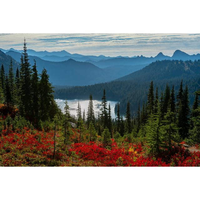 Red Huckleberry and Pine Trees in Front of Dewey Lake by Kellyvandellen - Wrapped Canvas Photograph Union Rustic Size: 20cm H x 30cm W x 3.8cm D on Productcaster.