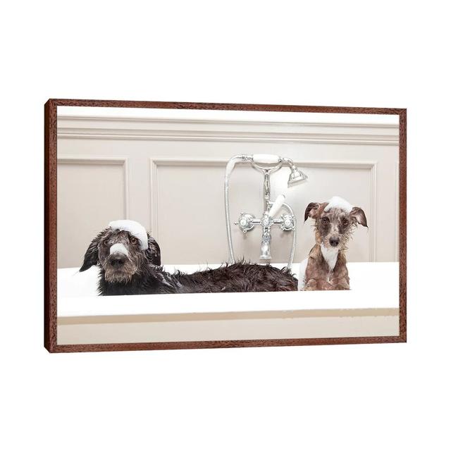 Two Funny Wet Dogs In Bathtub by Susan Schmitz - Print on Canvas Ebern Designs Format: Classic Brown Wood Framed, Size: 66.04cm H x 101.6cm W x 3.81cm on Productcaster.