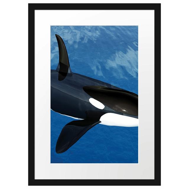 Gerahmtes Poster Orca im blauen Meer East Urban Home Größe: 55 cm H x 40 cm B on Productcaster.